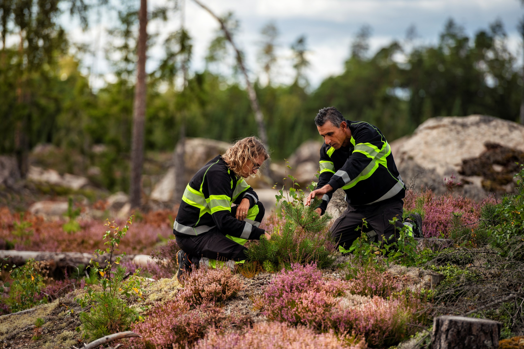 Sveaskog - hälsoundersökning för företag